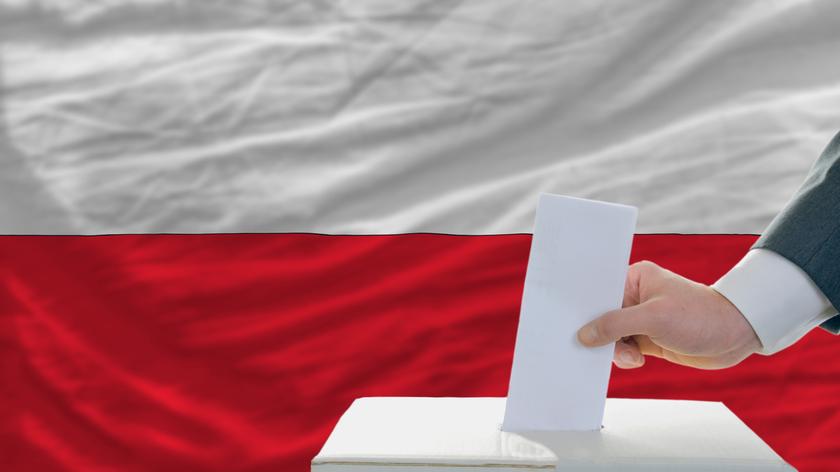 Osoba głosująca w wyborach