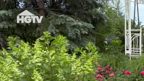 HGTV_NMWO_Chwasty