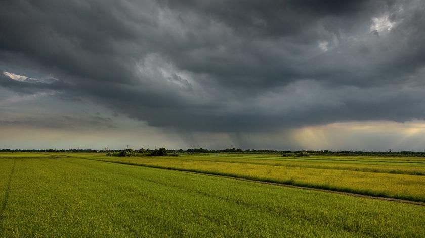 deszczowe chmury nad polami