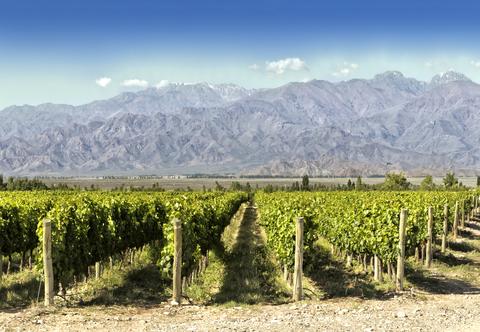 Mendoza – miasto gór i wina