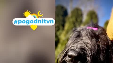 DD_20220316_Pogodni_REP