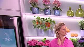 Front blond - trend lata 2022