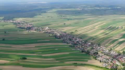 DD_20240607_Wies_REP
