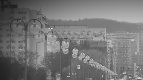 DD_20240528_Kelner_rep_REP