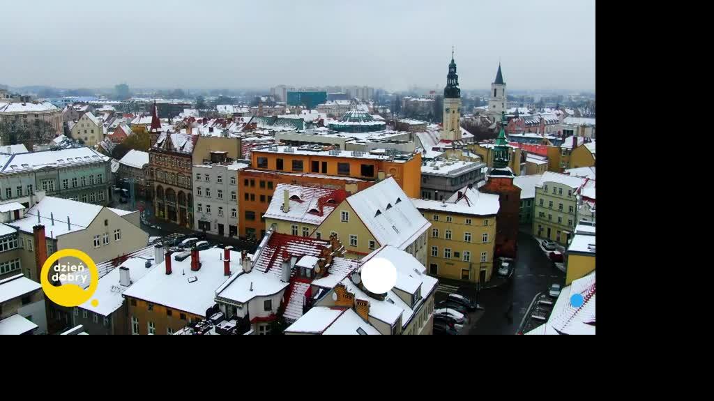 DD_20230311_Sroki_rep_REP