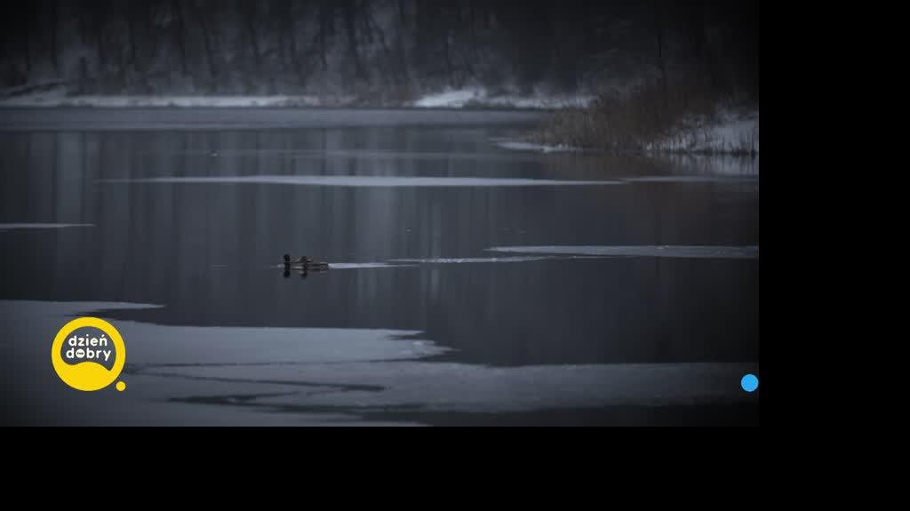 DD_20240118_Samobojstwa_rep_REP