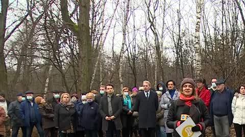 Wycinka lasu 