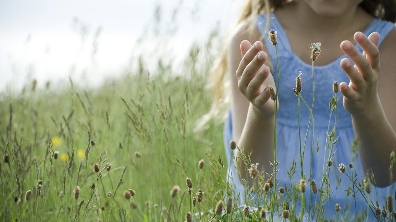 dziewczynka w polu, kwiaty w dłoniach