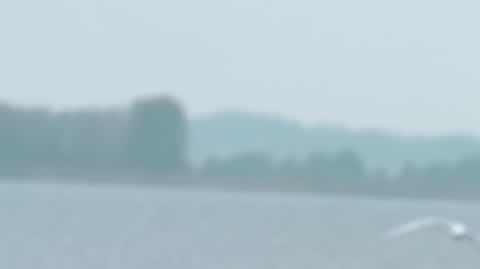 DD_20221205_Para_rep_REP