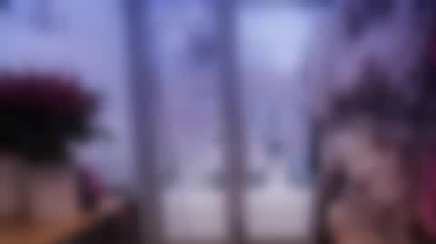 DD_20231212_Staniki_REP