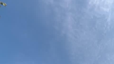 DD_20221013_Pogodynki_REP