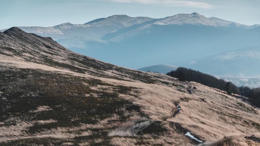 Połonina Caryńska w Bieszczadach