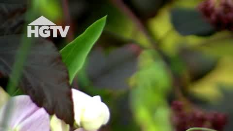 HGTV_MWO_Rabaty