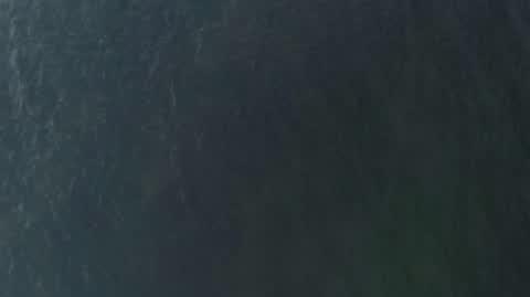 DD_20210921_Tsunami_rep_REP
