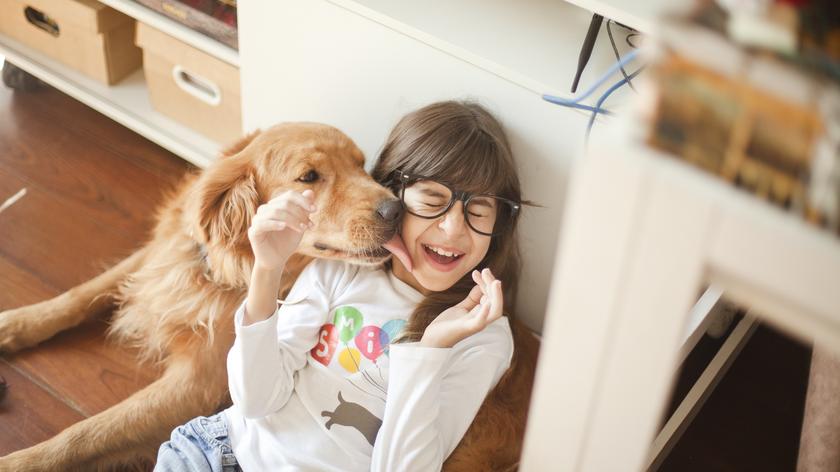 Zachowanie psa rozczuliło internautów