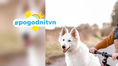 DD_20221014_Pogodni_REP