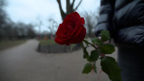 One kochały tylko moje pieniądze 