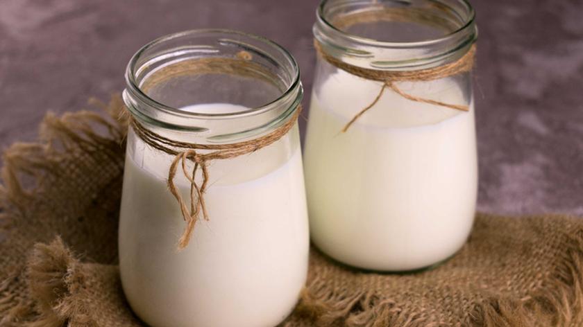 Produkty z mleka koziego – dla kogo są najlepsze? 