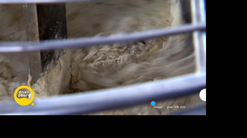 DD_20230904_Chleb_rep_REP