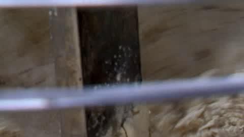 DD_20230904_Chleb_rep_REP
