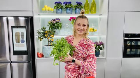 Daria Ładocha w Dzień Dobry TVN