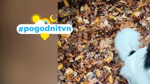 DD_20221112_Pogodni_REP