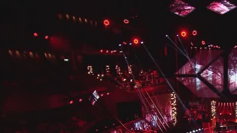 DD_20221113_Majaewska_rep_REP