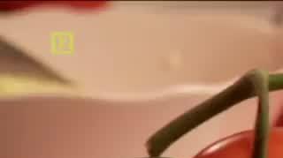 Ketchup domowy czy sklepowy?