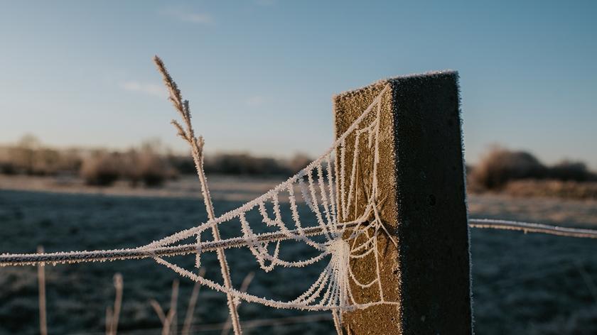 Pogoda na jutro. Lokalnie mogą pojawić się opady śniegu