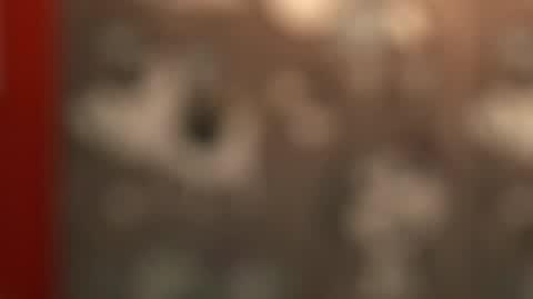 DD)20221003_Pudle_REP