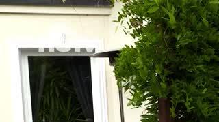 HGTV: Rośliny pnące. Jak przycinać wisterię?