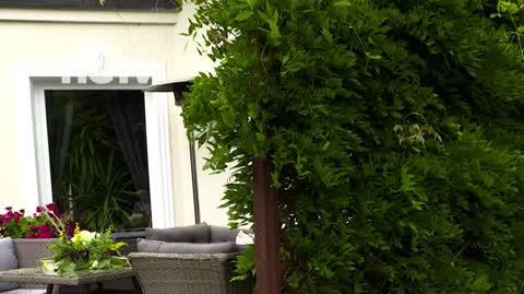 HGTV_NMWO_Wisteria
