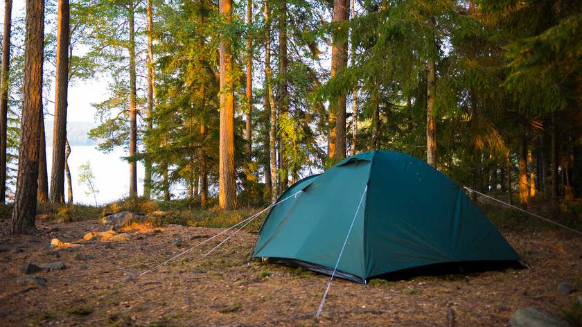 namiot w lesie