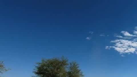 DD_20221030_Plemie_rep_REP