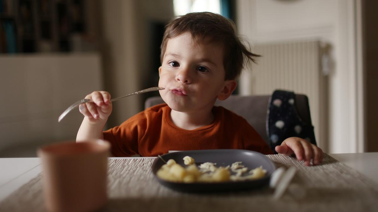 Co Zrobić Kiedy Dziecko Nie Chce Jeść Porady Dzień Dobry Tvn 7049