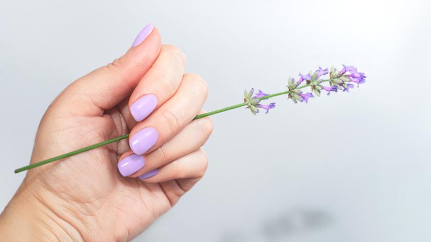 Paznokcie w odcieniu lawendy. Manicure na wiosnę. Lawendowy manicure.