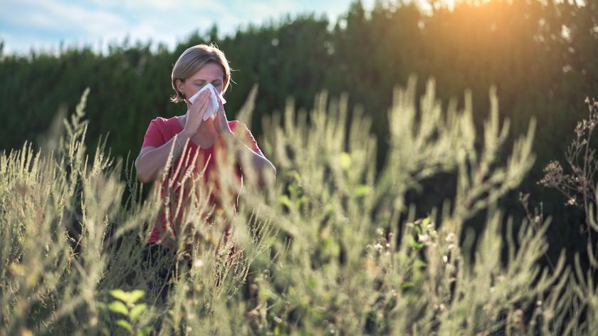 trawa, łąka na wiosnę, kobieta z alergią na pyłki