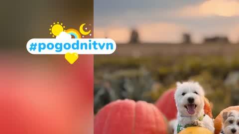 DD_20220928_Pogodni_REP