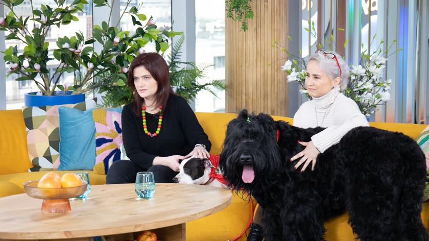 Donata Szwast-Baczyńska, Agnieszka Mrozińska, Holly i Duduś