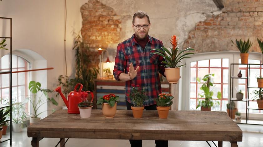 Łukasz Skop sadzi kwiaty