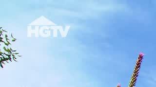 HGTV: Ogród z czerwonymi akcentami 