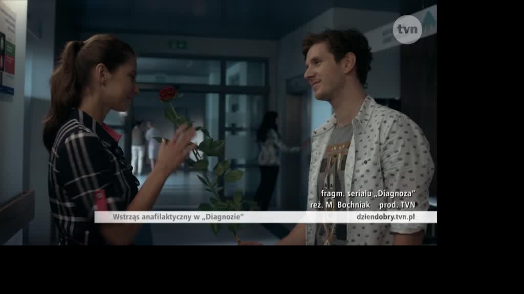Jakie owady mogą nas pogryźć? 