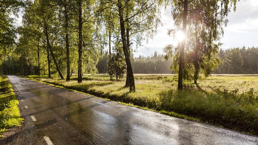 letni deszcz, mokry asfalt, drzewa, promienie słońca