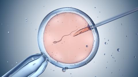 Badacze opracowali alternatywę dla in vitro. Na czym ona polega?