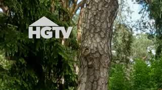 HGTV: Dom w odrestaurowanym świdermajerze 