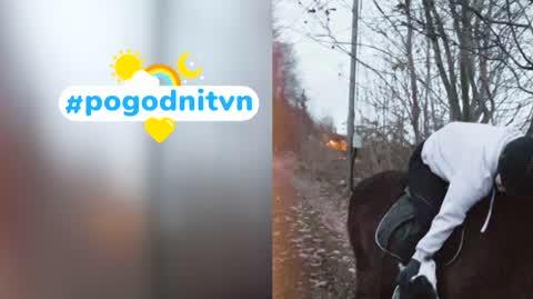 DD_20211110_Pogodni_REP