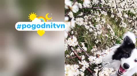 DD_20220424_Pogodni_REP