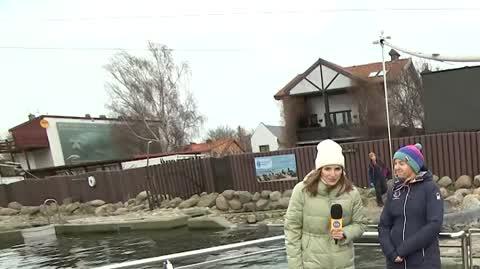 DD_20230106_Foczki_REP