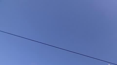 DD_20240120_Cessanis_rep_REP
