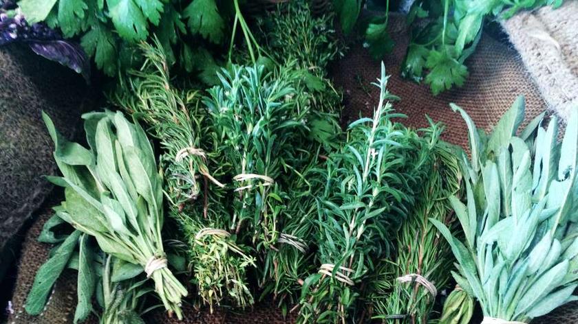 zioła zbierane w sierpniu